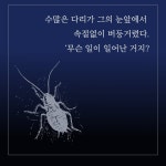 변신 · 시골 의사 (완역본) - 예스24