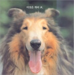 코코코 - 예스24