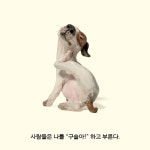 나는 개다 - 예스24