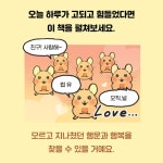 (주)산하에이치엠 청풍리조트제천점 | 우리가 행운을 주워 왔어! | 산하 | 알에이치코리아(RHK) - 예스24