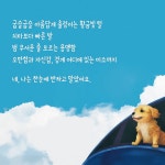나의 똑똑한 강아지 | 송희구 | 서삼독 - 예스24