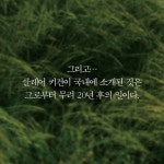 푸른 들판을 걷다 - 예스24