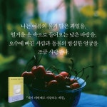 내가 네번째로 사랑하는 계절 | 한정원 | 난다 - 예스24