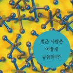 법 안의 사람 법 밖의 사람 - 예스24