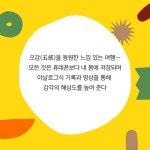 명랑 10대 명량 챌린지 - 예스24