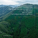 장성 축령산 둘레둘레 | 황풍년 | 상상창작소봄 - 예스24