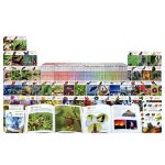 글로벌 과학탐구.자연관찰 [책83권] | 에스더블유(SW) - 예스24