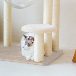 [레토] 캣타워 프리미엄 캣폴 고양이 놀이터 (LCG-CT01) | (주)이니스리테일 - 예스24