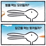 오리야! 토끼야! | 에이미 크루즈 로젠탈 | 보물창고 - 예스24