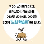 느린 학습자, 경계선 지능, ADHD를 위한 문해력 수업 | 김나형 | 카시오페아 - 예스24