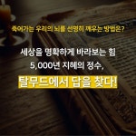 1% 유대인의 지혜수업 | 심정섭 | 매일경제신문사 - 예스24