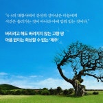 사월에 부는 바람 - 예스24