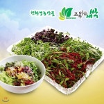 초록이슬새싹/어린잎채소(200g)/브로콜리/유채/콜라비/적무/배추/무공해식품/무농약 - 예스24