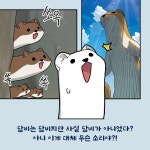 호랑이 들어와요 9 | 배세혁 | 길찾기 - 예스24
