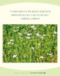 걷는 이의 축복 코리아둘레길 : 입문편 | 이화규 | 나무발전소 - 예스24