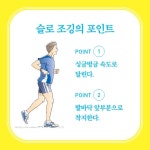 슬로 조깅 - 예스24