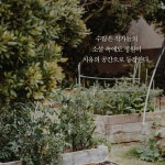 정원의 책 - 예스24