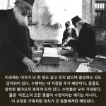 비 내리는 그리스에서 불볕천지 튀르키예까지 | 무라카미 하루키 | 문학사상 - 예스24