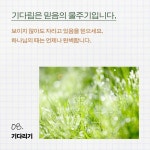 정원을 돌보듯 자신을 가꾸라 | 방성일 | 들음과봄 - 예스24