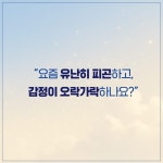 하루 15분 호르몬 혁명 | 안철우 | 한스미디어 - 예스24