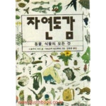 [중고샵] 1991년 초판 자연도감 동물 식물의 모든 것 (310-3) | 사토우치 아이 | 진선출판사 - 예스24