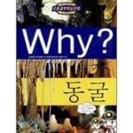 [중고샵] Why? 와이 동굴 | 정수은 저 | 예림당 - 예스24