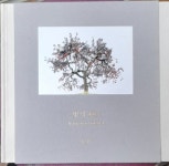 [중고샵] 빛의 변주 <양대호 사진집> - 예스24 [중고샵]빛의 변주 <양대호 사진집> - 예스24