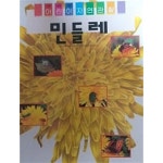 [중고샵] 민들레(프뢰벨 어린이 자연관찰 43) | 편집부 | 한국프뢰벨주식회사 - 예스24