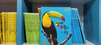 [중고샵] 여원미디어 탄탄 WIDE 자연속으로 완결판 전100권(최상... 탄탄 WIDE 자연속으로 완결판 전100권(최상/상세사진참조) - 예스24