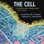 [중고샵] The Cell (Hardcover / 5th Ed.) (A Molecular Approach) - 예스24 [중고샵]The Cell (Hardcover / 5th Ed.) (A Molecular... 
