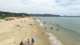 [전국]완도 명사십리 4km 모래 해변에 피서객 몰려 | YTN 완도 명사십리 4km 모래 해변에 피서객 몰려