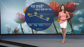 [날씨] 폭염 절정...당분간 찜통더위 기승 | YTN [날씨] 폭염 절정...당분간 찜통더위 기승