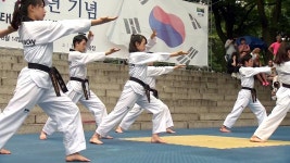 [사회]우리 문화의 자랑 태권도...남산에서 만나는 특별 공연 | YTN 우리 문화의 자랑 태권도...남산에서 만나는 특별 공연