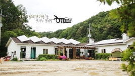 [전국]거위의 꿈...대안학교 해밀의 두 번째 도전 | YTN 거위의 꿈...대안학교 해밀의 두 번째 도전