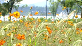 [날씨] 청명한 하늘, 따뜻한 햇살...일교차 주의 | YTN [날씨] 청명한 하늘, 따뜻한 햇살...일교차 주의