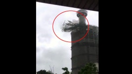 [국제]타이완에 태풍 메기 상륙...130만 가구 전력 끊겨 | YTN 타이완에 태풍 메기 상륙...130만 가구 전력 끊겨