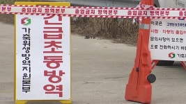 [전국]전북 김제시 금구면 오리 집단폐사...역학 조사 | YTN 전북 김제시 금구면 오리 집단폐사...역학 조사