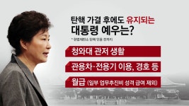 [정치]박 대통령 권한은 정지 예우는 그대로 | YTN 박 대통령 권한은 정지 예우는 그대로