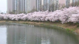 [날씨] 따뜻한 주말...다음 주 잦은 봄비 | YTN [날씨] 따뜻한 주말...다음 주 잦은 봄비