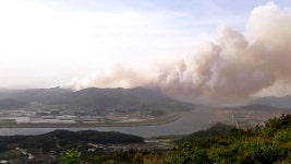 [전국]산불위기경보 첫 심각 발령...전국이 산불 몸살 | YTN 산불위기경보 첫 심각 발령...전국이 산불 몸살