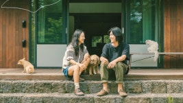 [방송]효리네 민박 다정다감 포스터 공개 (Feat. 순심이) | YTN 효리네 민박 다정다감 포스터 공개 (Feat. 순심이)