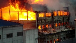 [사회]발안산업단지 공장에서 불...큰 불길 잡혀 | YTN 발안산업단지 공장에서 불...큰 불길 잡혀