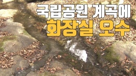 [자막뉴스] 국립공원 계곡에 화장실 오수 줄줄 | YTN [자막뉴스] 국립공원 계곡에 화장실 오수 줄줄