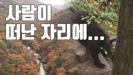 [자막뉴스] 반달곰 마을로 다시 태어난 하늘 아래 첫 동네 | YTN [자막뉴스] 반달곰 마을로 다시 태어난 하늘 아래 첫 동네