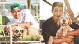 [방송]다니엘 헤니, 한국 개 농장에서 구조된 골든 리트리버 입양 | YTN 다니엘 헤니, 한국 개 농장에서 구조된 골든 리트리버 입양