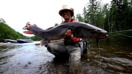 [낚시]김철오 프로, 러시아 아무르 강에서 플라이낚시로 125cm 초대형 타이멘 낚아 | YTN 김철오 프로, 러시아 아무르 강에서 플라이낚시로... 