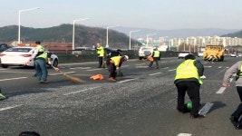 [전국]대구 도로에 못 쏟아져...차량 13대 타이어 파손 | YTN 대구 도로에 못 쏟아져...차량 13대 타이어 파손