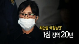 [사회]최순실 징역 20년...신동빈 실형 법정구속 | YTN 최순실 징역 20년...신동빈 실형 법정구속