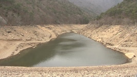 [전국]심각한 가뭄...농업용수는 물론 식수도 위협 | YTN 심각한 가뭄...농업용수는 물론 식수도 위협