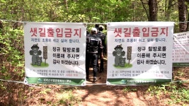 [사회]샛길로 불법 산행, 위험천만 | YTN 샛길로 불법 산행, 위험천만